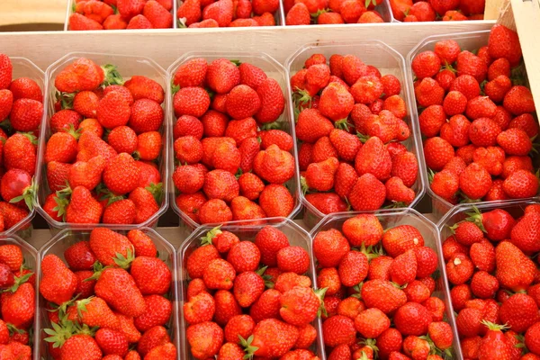 Bandejas de hermosas fresas rojas y maduro de Francia —  Fotos de Stock
