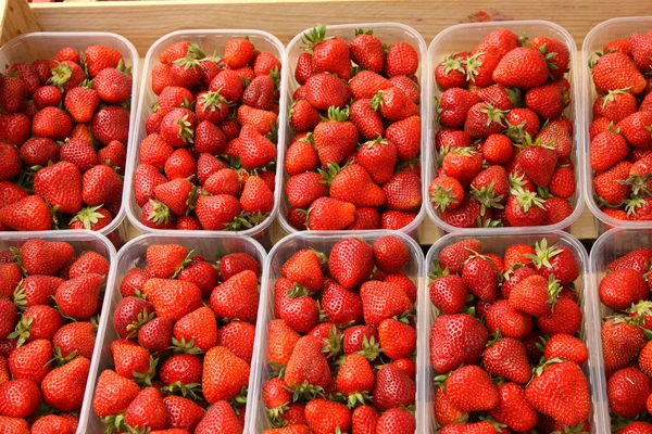 Zásobníky krásné červené jahody a zralé de france — Stock fotografie