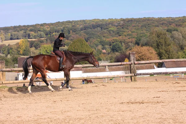 Häst att koppla av med en ung ryttare innan en tävling — Stockfoto
