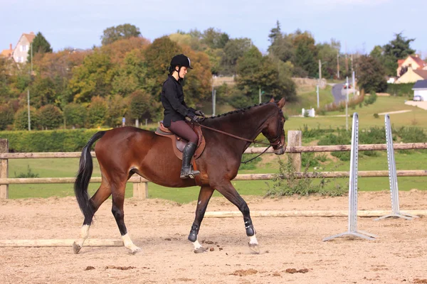 Pferd zum Entspannen mit einem jungen Reiter vor einem Wettkampf — Stockfoto