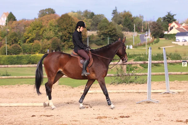 Pferd zum Entspannen mit einem jungen Reiter vor einem Wettkampf — Stockfoto