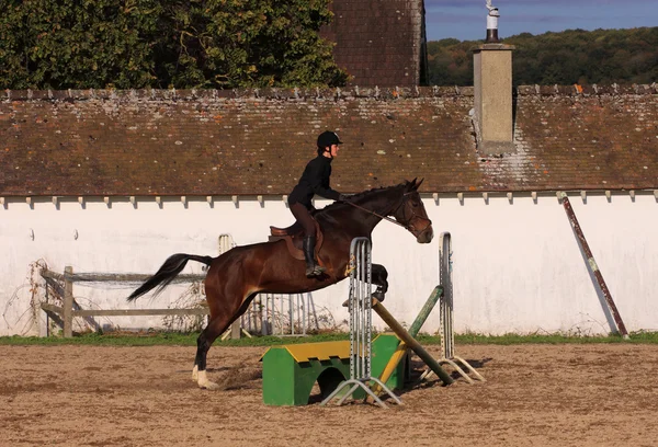 Koń i jeździec ma konkurs skoków — Zdjęcie stockowe