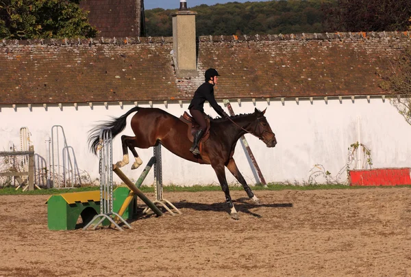 Cavallo e cavaliere ha una gara di salto — Foto Stock
