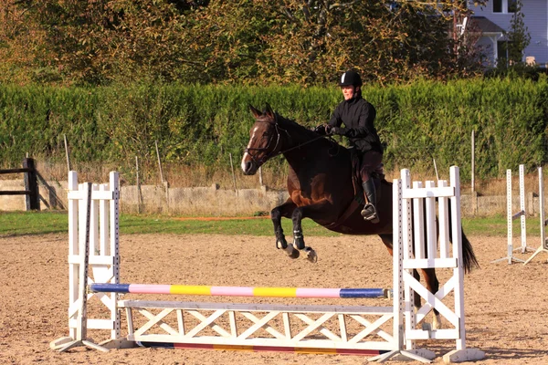 Koń i jeździec ma konkurs skoków — Zdjęcie stockowe