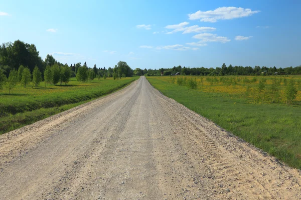Estrada rural no dia ensolarado . — Fotografia de Stock