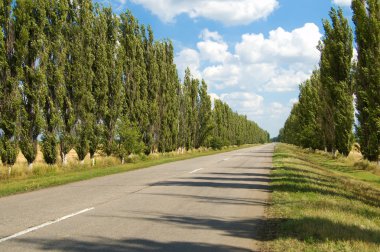 Road with trees clipart