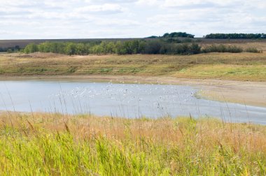 peneplain Nehri