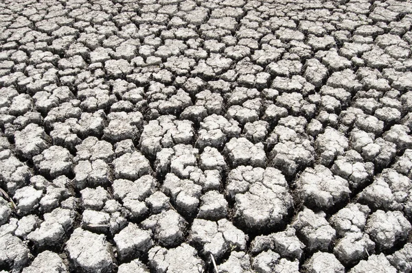 stock image Waste land