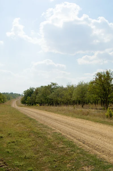 Camino rural sucio — Foto de Stock