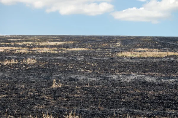 stock image Field after burning