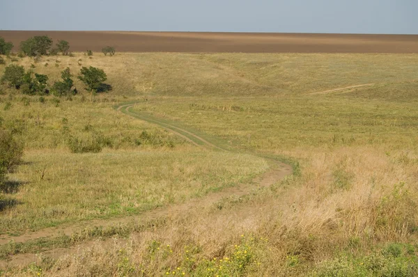 草原蜿蜒的路 — 图库照片
