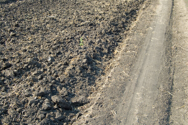 Поля и линии