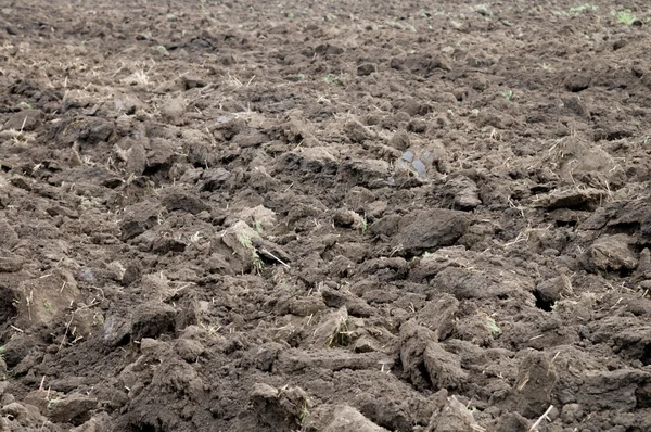 Arable soil — Stock Photo, Image
