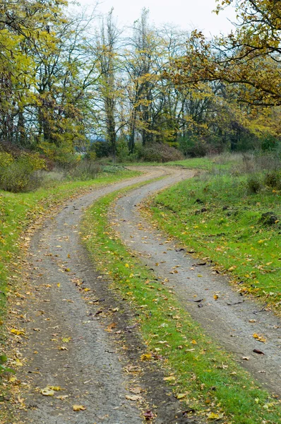 stock image Autumnal road