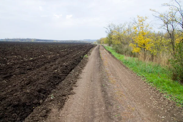 Landelijke weg — Stockfoto