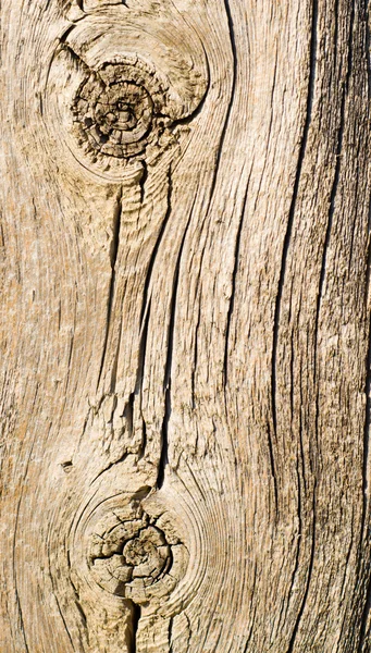 Dřevo texturou — Stock fotografie