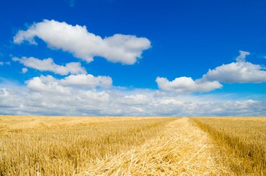 gökyüzü ve windrows