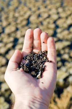 Earth in hand