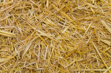 Straw closeup clipart