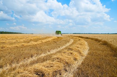 Harvest time clipart