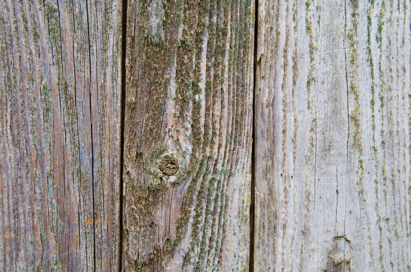 Texturerat trä — Stockfoto