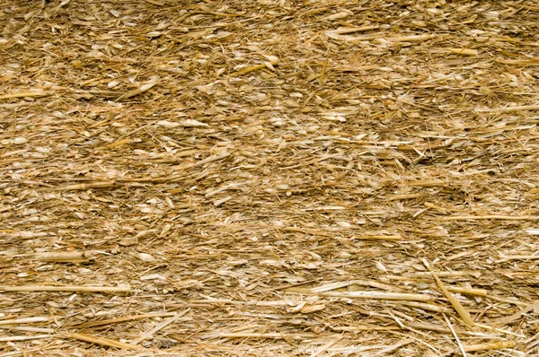 Preslenmiş saman — Stok fotoğraf