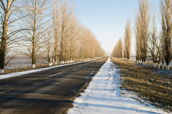 Дорога в зимовий період — стокове фото