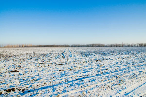 Vidéki téli — Stock Fotó