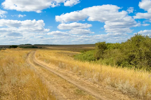 Road in steppe — Stock Photo, Image