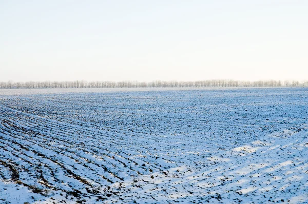 Linhas de inverno — Fotografia de Stock