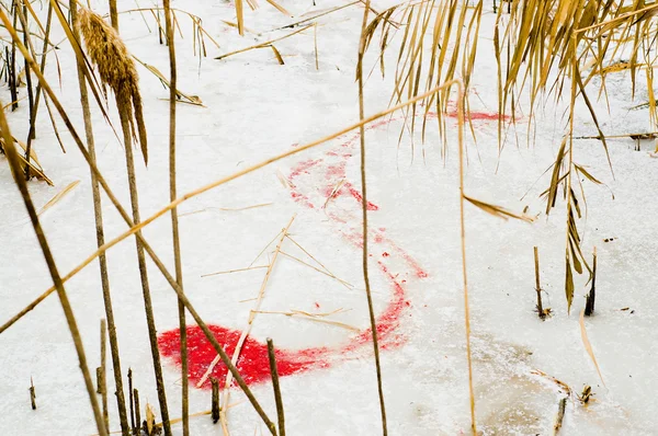 Krev na ledě — Stock fotografie