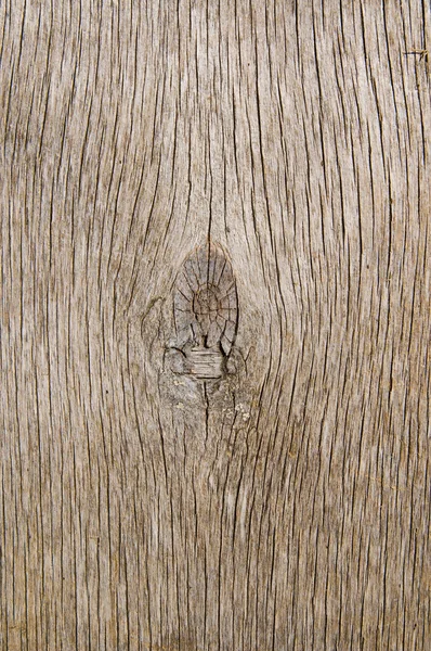 木材の表面 — ストック写真