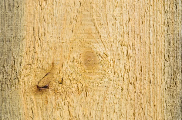 Drewno liściaste — Zdjęcie stockowe