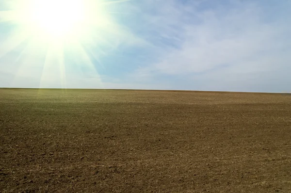Soliga svarta fält — Stockfoto