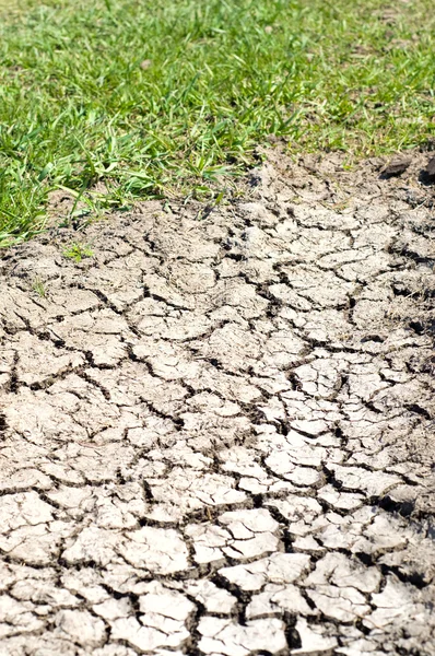 After drought — Stock Photo, Image
