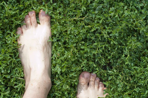 Stock image Barefooted on the green grass