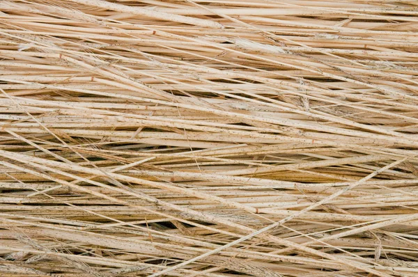 stock image Straw as background