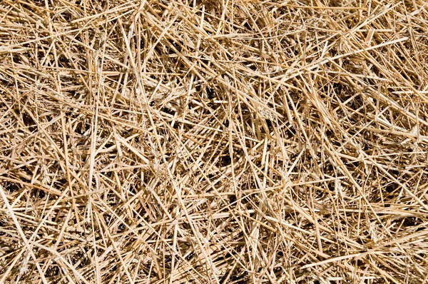 Straw as background — Stock Photo, Image