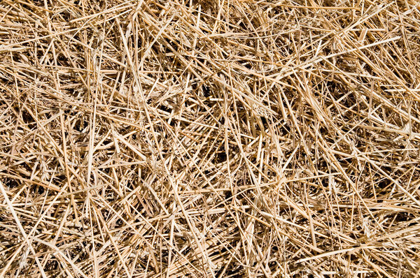 Straw as background