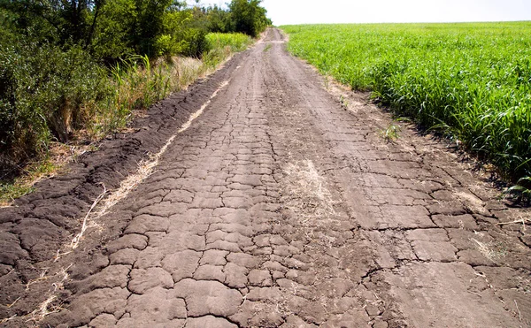 Rural cracked road — Stock Photo, Image
