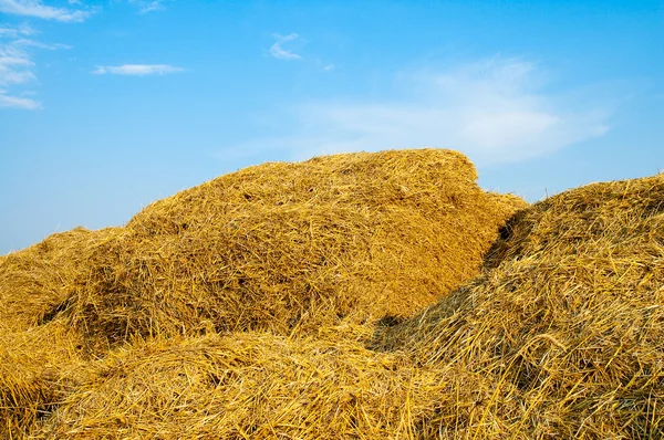 Stack of straw — Stock Photo, Image