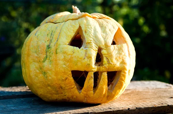 Helloween pumpkin in evening — Stock Photo, Image