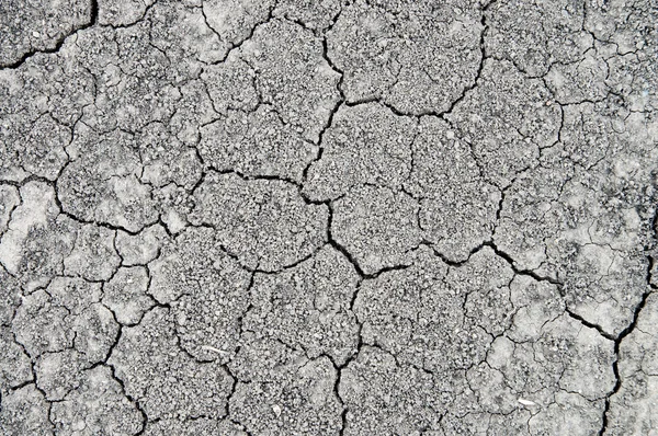 Çatlaklar toprakla — Stok fotoğraf