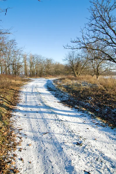 Zimą drogi przez drewno — Zdjęcie stockowe