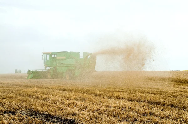 Harvest time, tractor — ストック写真