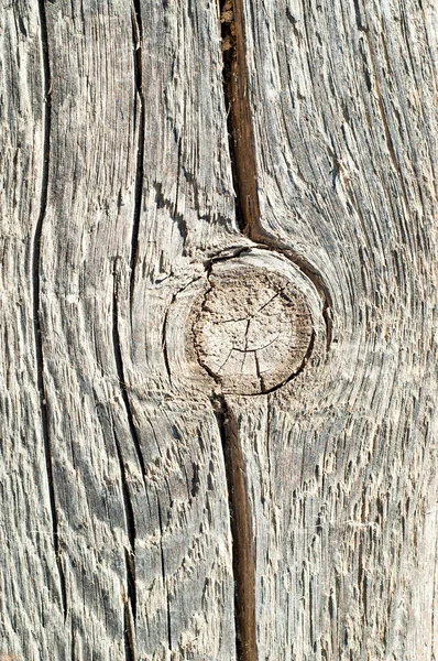 古い木の切口を小枝します。 — ストック写真