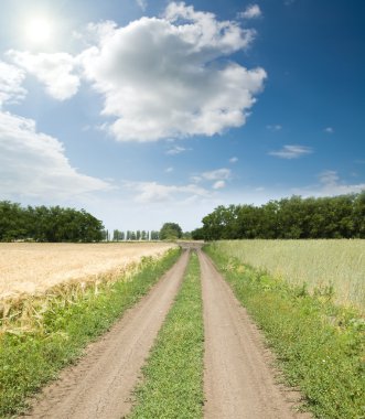 weg tussen velden