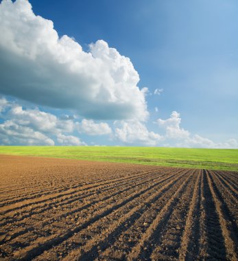 Ploughed field clipart