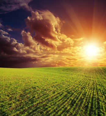 Green field and red sunset clipart