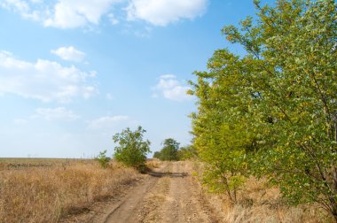 kırsal yol